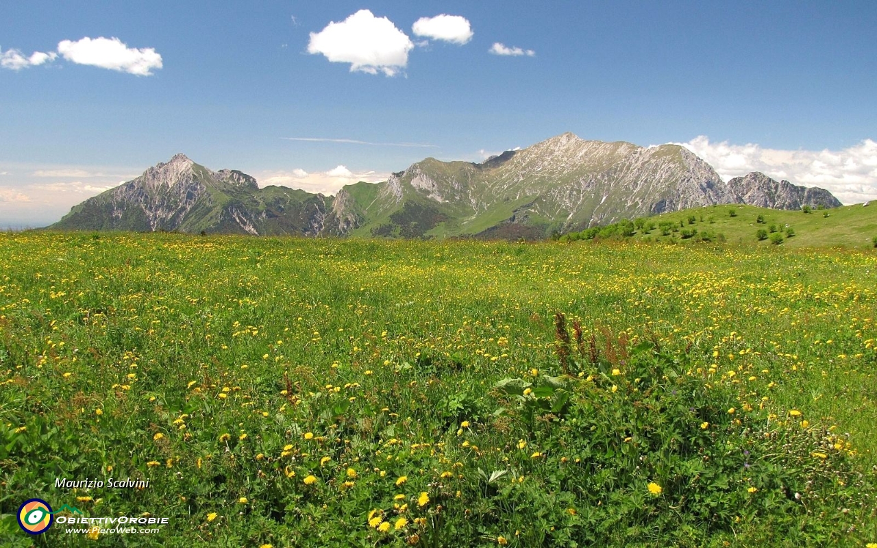 04 Piani di Bobbio, ecco le Grigne....JPG